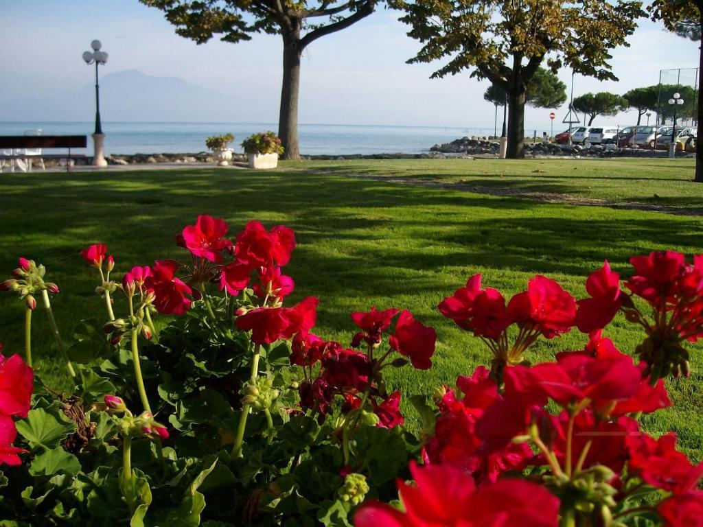 Hotel Lugana Parco Al Lago Sirmione Zewnętrze zdjęcie