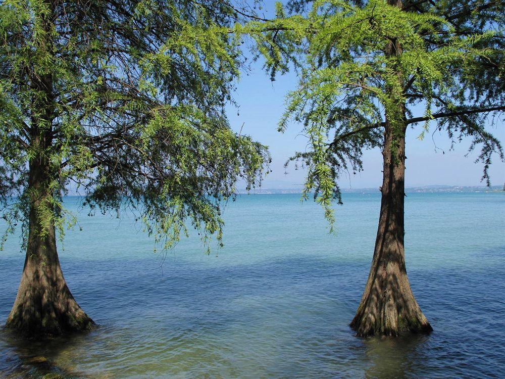 Hotel Lugana Parco Al Lago Sirmione Zewnętrze zdjęcie